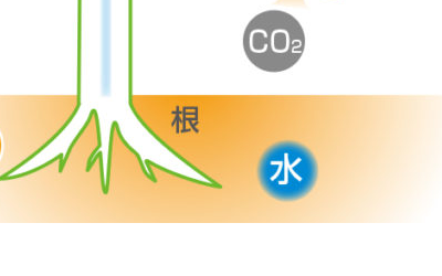 太阳辐射蒸发量自动控制灌溉