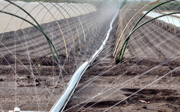 智能灌溉需要灌溉控制器