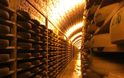 裂缝、竖井和空管氡气传感器监测仪