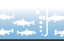 渔业/水产养殖案例2