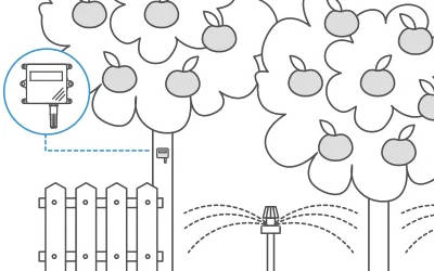 智能灌溉系统提高水果产量