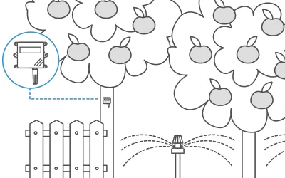 智能灌溉系统提高水果产量