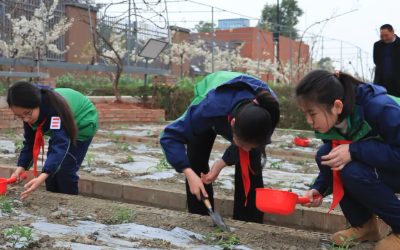 中小学智慧农业试验田示范基地方案