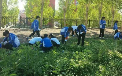 数字校园智能农田解决方案