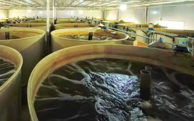 鱼塘换水智能远程开关系统