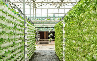 室内种植空气温湿度二氧化碳监测方案