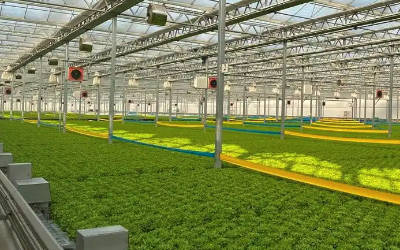 温室大棚种植二氧化碳监测