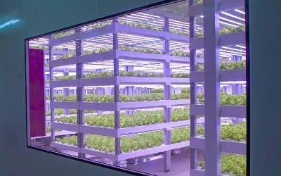 LED植物工厂光照度智能灯光控制系统