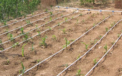 现代农业智能滴灌与智能微喷灌系统方案