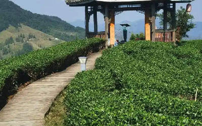 智能茶园土壤养分监测系统