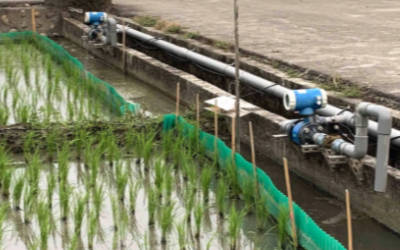 水稻病虫害防治虫情测报解决方案