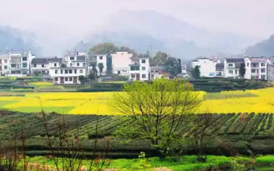 美丽乡村秸秆焚烧空气监测