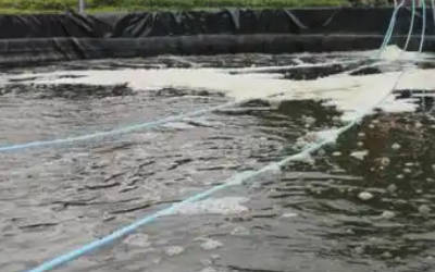 远洋牧场养鱼水质监测系统