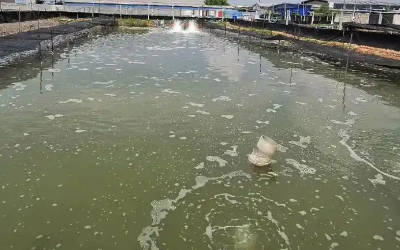 对虾养殖基地水质监测系统