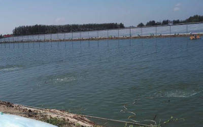 白虾养殖水中氧气水质控制系统