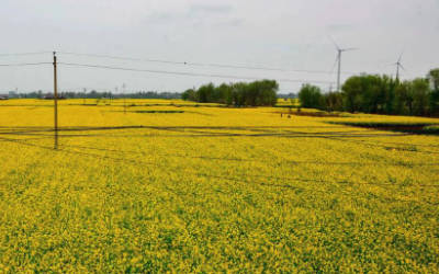 美丽乡村空气质量监测系统