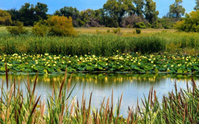 生态旅游区环境空气水质监测系统