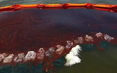 水污染藻类大量繁殖监测