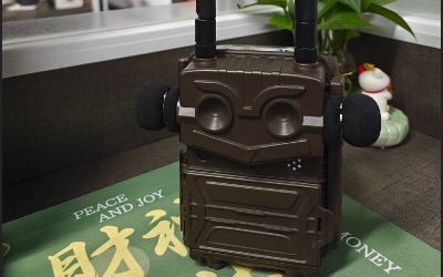 生物多样性声纹识别