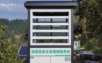 虫情靶标害虫智能监测应用方案